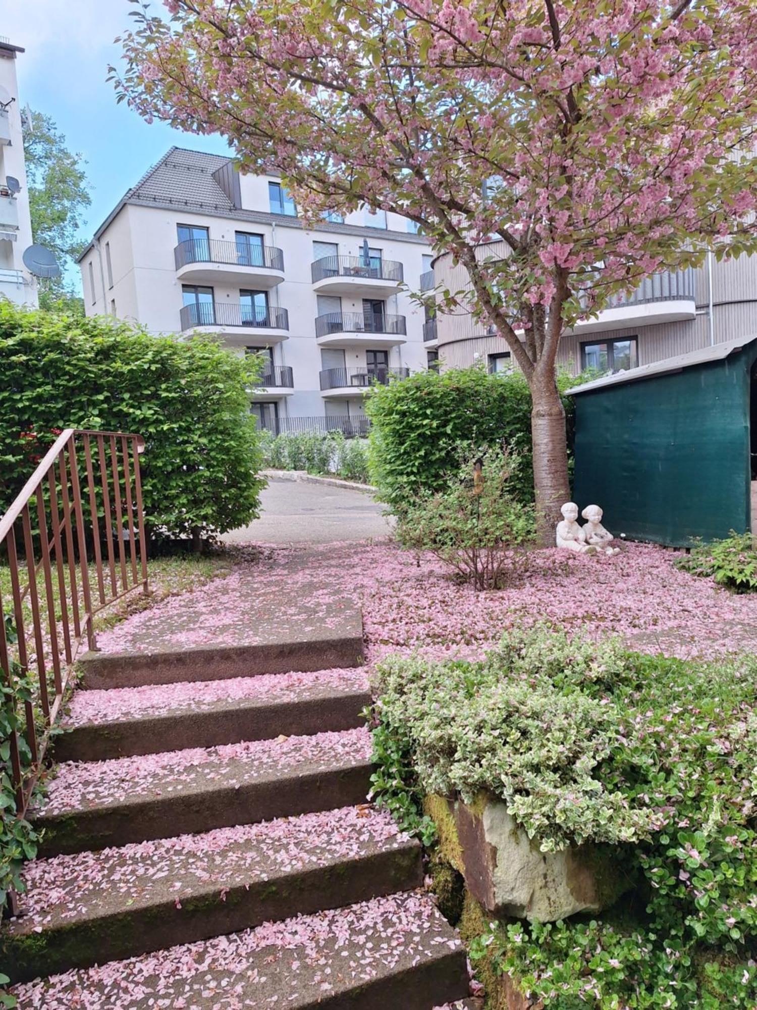 Haus Mila Freudenstadt Exterior foto